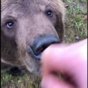 Meet your Posher, Mike